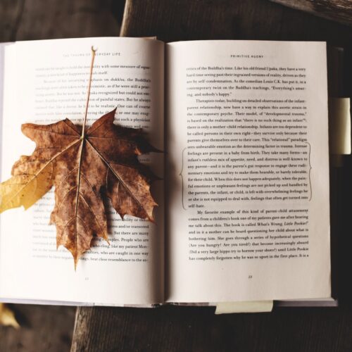Autumn Stories